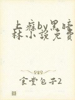 上瘾by黑暗森林小说免费