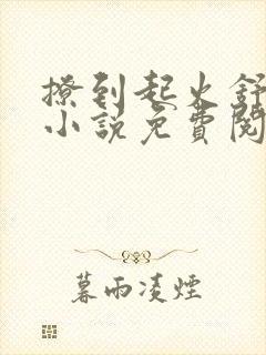 撩到起火舒漾的小说免费阅读全文