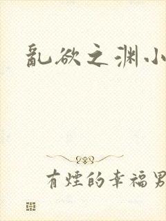 乱欲之渊小说