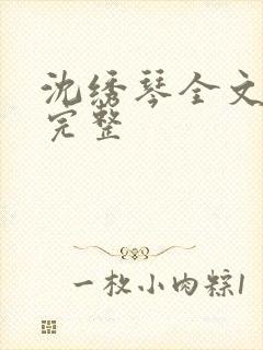 沈绣琴全文阅读完整