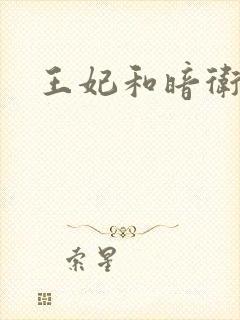 王妃和暗卫野H