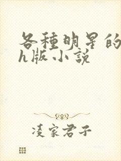 各种明星的综艺h版小说封面
