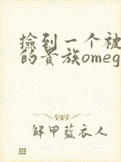 捡到一个被抹布的贵族omega封面