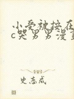 小受被按在墙上c哭男男漫画封面