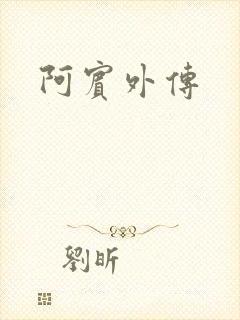 阿宾外传