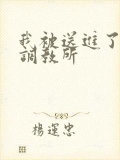 我被送进了私奴调教所
