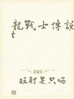 龙战士传说txt