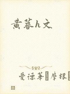 黄蓉h文封面