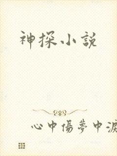 神探小说