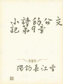 小诗的公交车日记第9章
