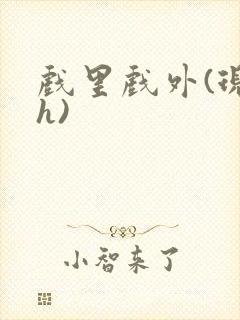 戏里戏外(现场h)