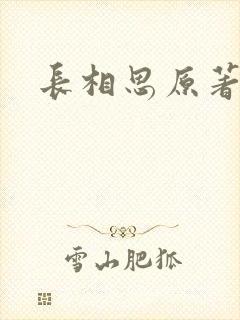 长相思原著封面