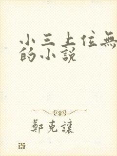小三上位无三观的小说