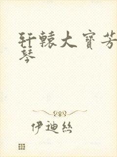 轩辕大宝芳菲雅琴