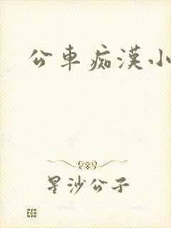 公车痴汉小说