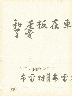 和老板在车里做了爱