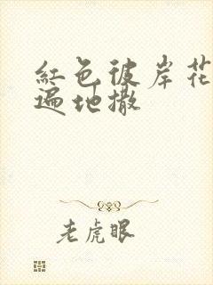 红色彼岸花花瓣遍地撒