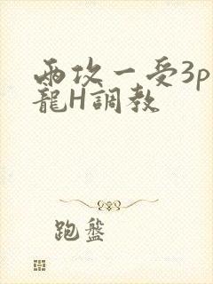 两攻一受3p双龙H调教