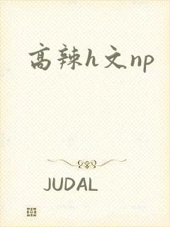 高辣h文np
