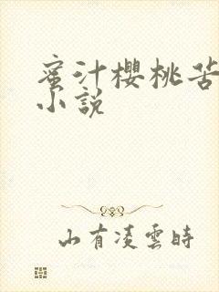 蜜汁樱桃苦咖啡小说封面