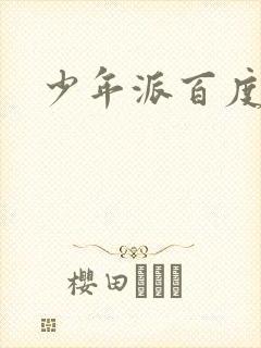 少年派百度百科