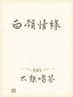 白领情缘封面