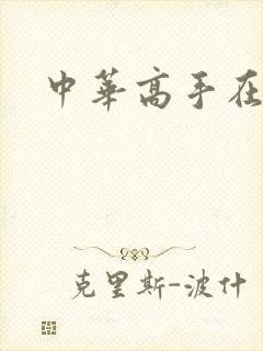 中华高手在异世封面