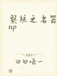 系统之名器攻略np