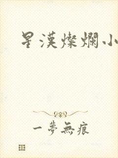 星汉灿烂小说