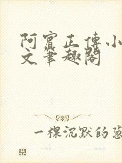 阿宾正传小说全文笔趣阁