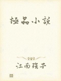 极品小说封面