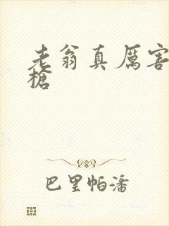 老翁真厉害不倒枪封面