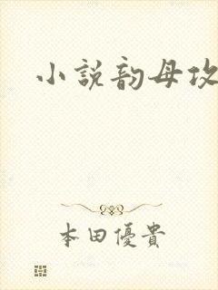 小说韵母攻略