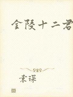 金陵十二君封面