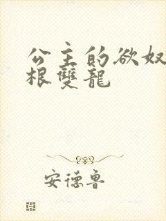 公主的欲奴h四根双龙封面
