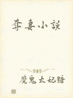 夺妻小说
