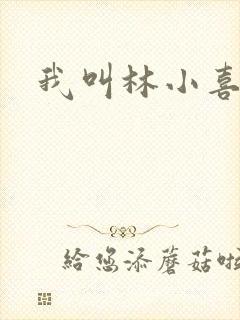 我叫林小喜17