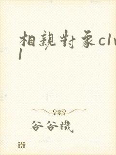 相亲对象c1v1封面