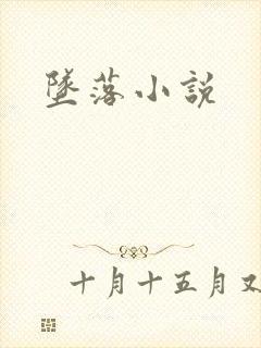 坠落小说封面