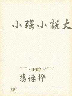 小强小说大全封面