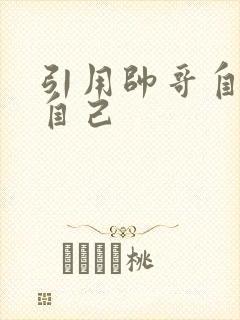 引用帅哥自己玩自己封面