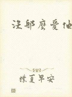 没那么爱他封面