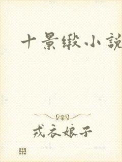十景缎小说