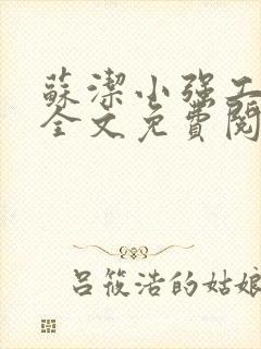 苏洁小强工地情全文免费阅读