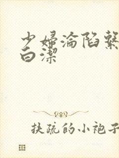 少妇沦陷系列之白洁封面