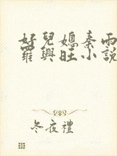 好儿媳秦雨罗明罗兴旺小说