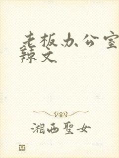 老板办公室系列辣文
