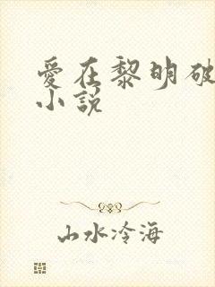爱在黎明破晓前小说
