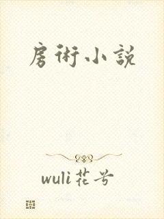 房术小说