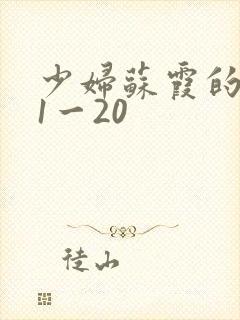 少妇苏霞的沉沦1一20